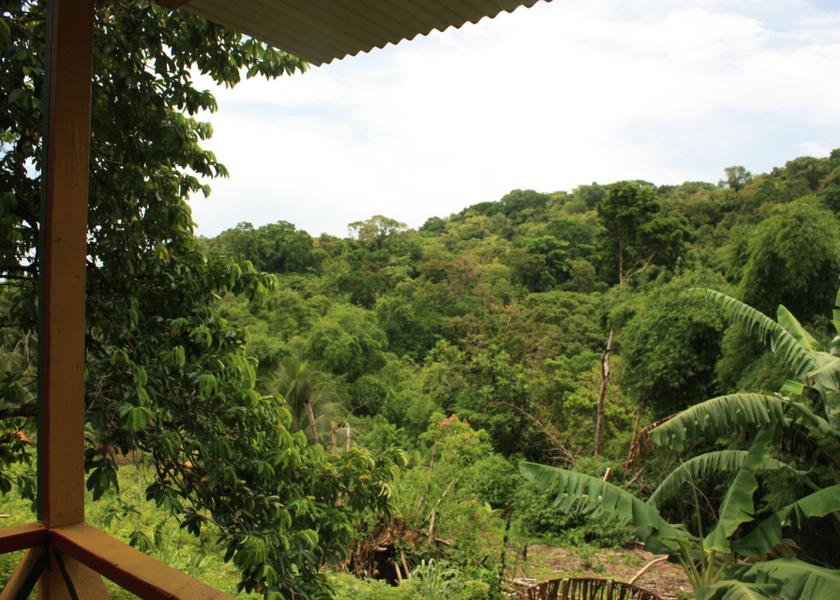  Port Antonio View from Property
