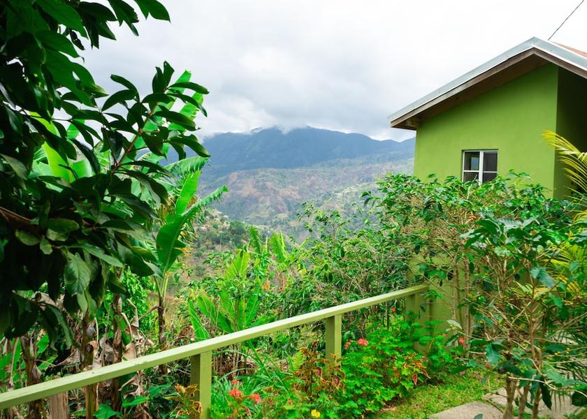 Saint Andrew Silver Hill Gap Exterior Detail