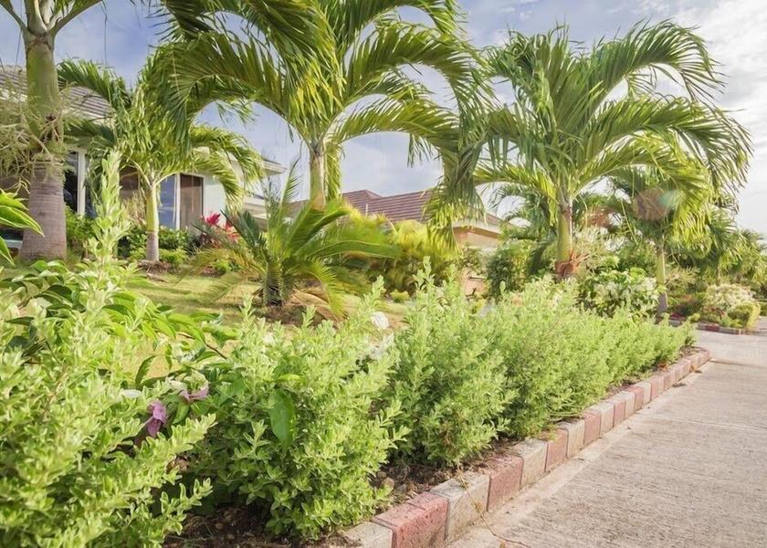 Saint James Ocho Rios Courtyard