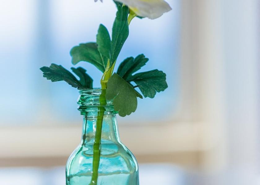 Saint James Ocho Rios Interior Entrance