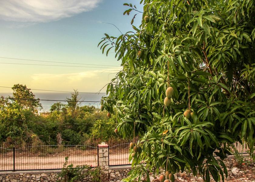 Saint James Montego Bay View from Property