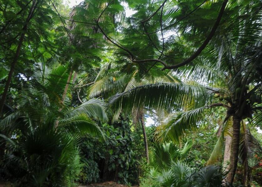 Saint James Tower Isle Exterior Detail