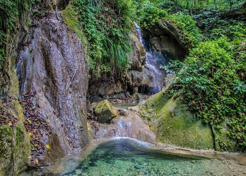 Saint James St. Ann's Bay Ecotours