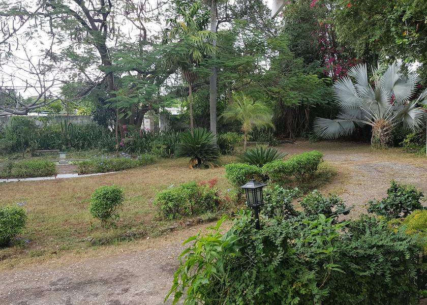 Saint Andrew Kingston Property Grounds