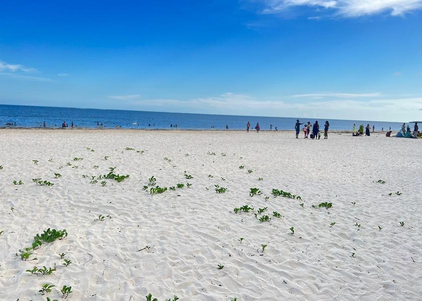  Mombasa Beach