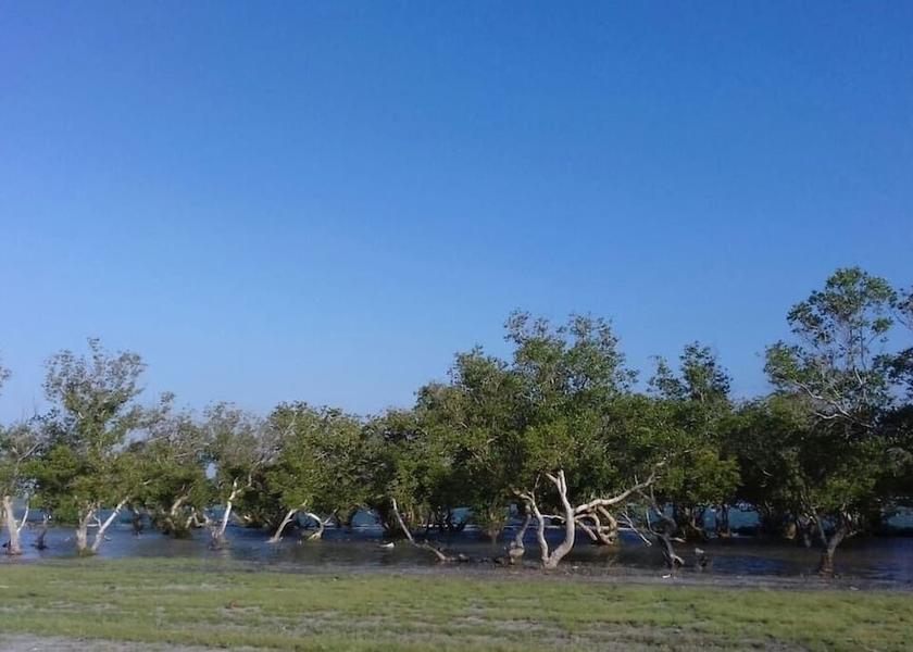  Watamu View from Property