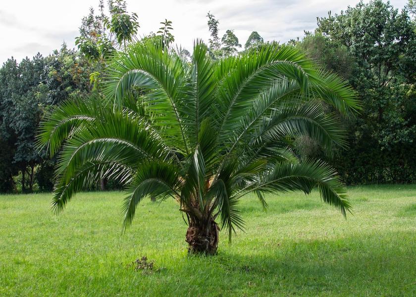  Eldoret Property Grounds