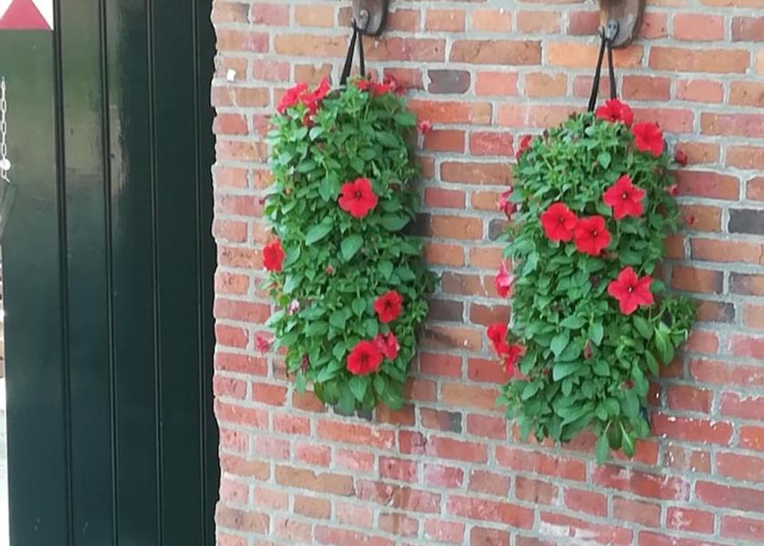 Overijssel Enschede Exterior Detail