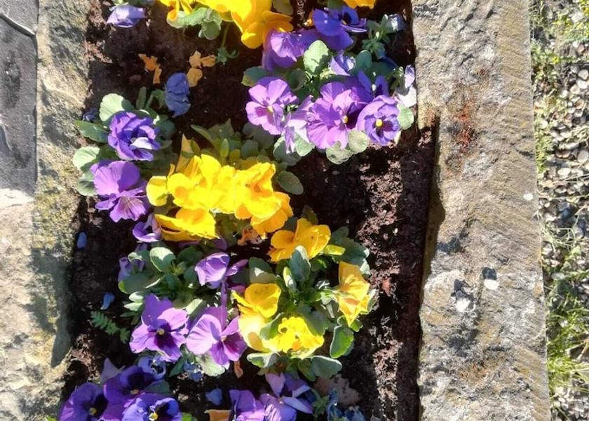 Overijssel Enschede Exterior Detail