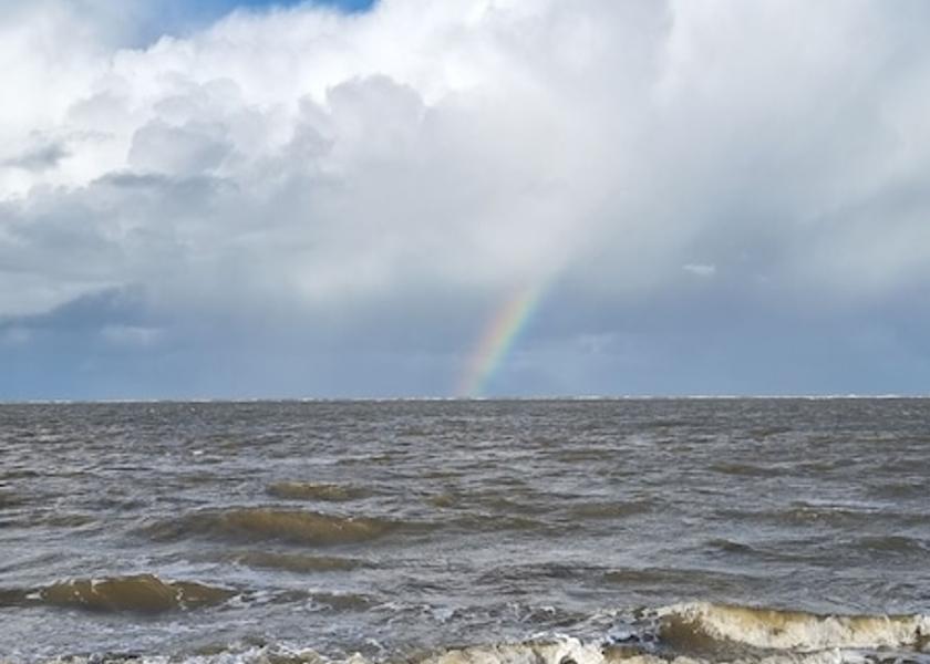 South Holland Ouddorp Beach
