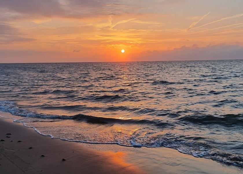 South Holland Ouddorp Beach