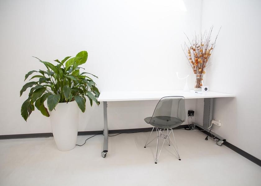 South Holland Leiden Interior Entrance