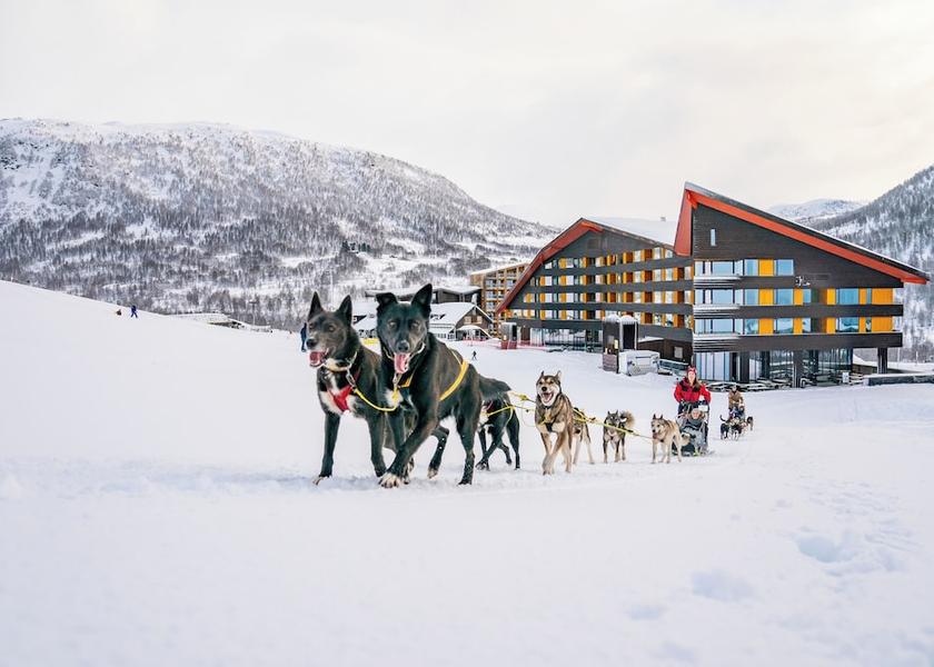 Hordaland (county) Voss Sledding