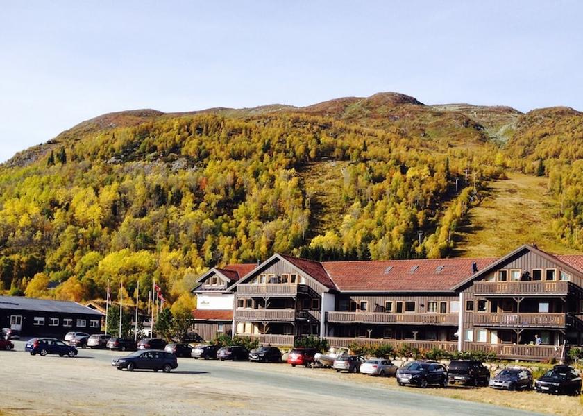 Telemark (county) Vinje Facade