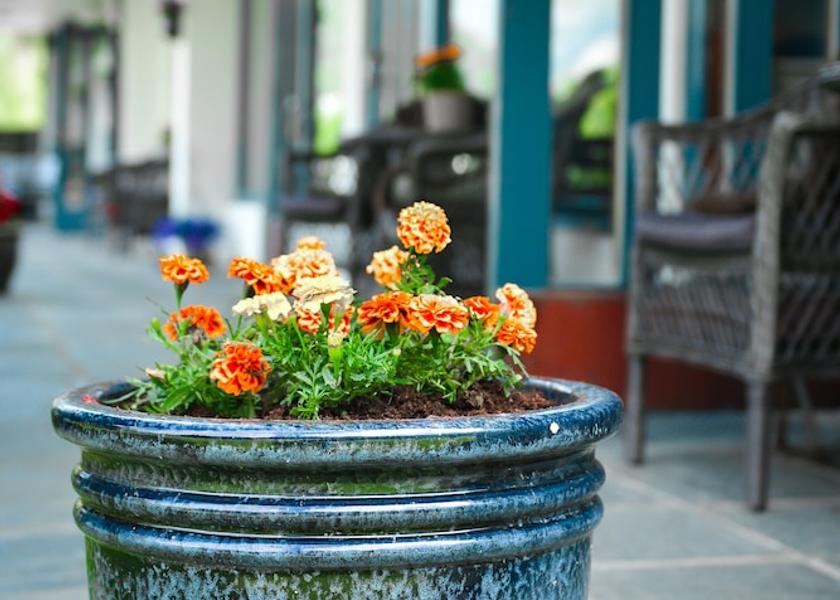 Hordaland (county) Eidfjord Entrance