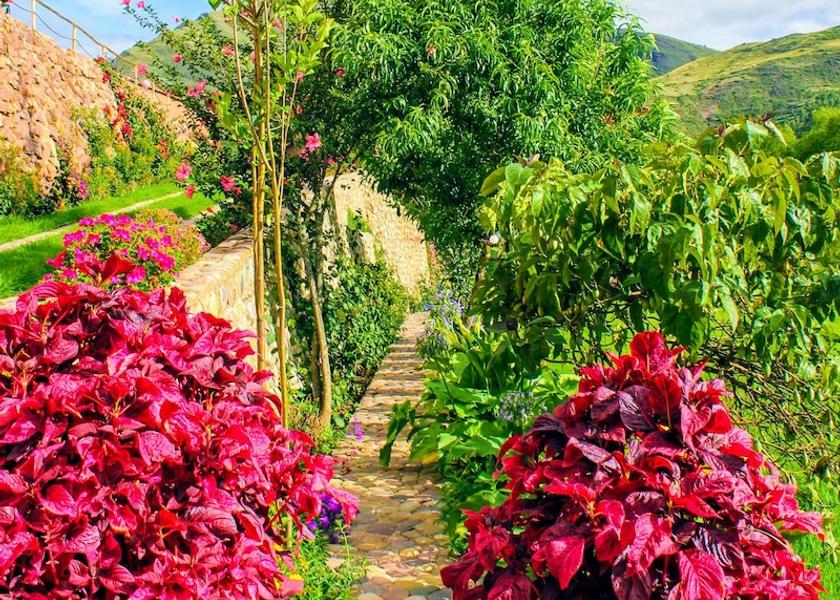 Cusco (region) Pisac Interior Entrance