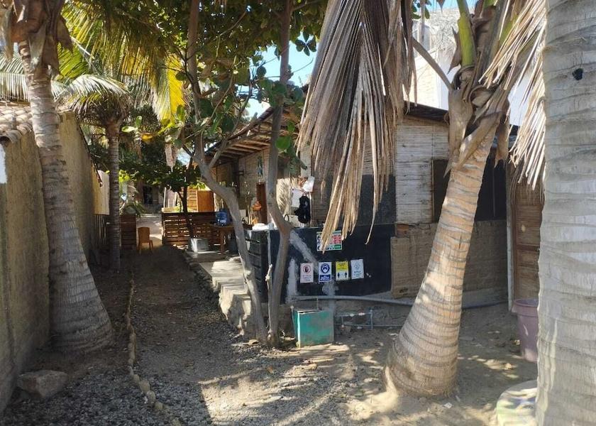 Piura (region) Piura Reception