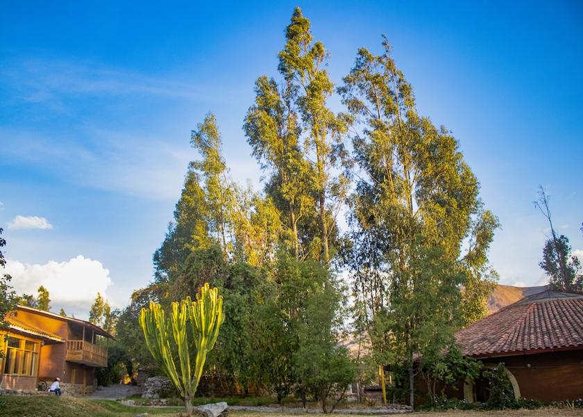 Cusco Region Urubamba Garden