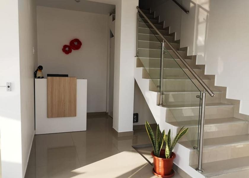 Ica Region Paracas Reception