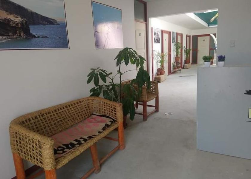 Ica Region Paracas Reception