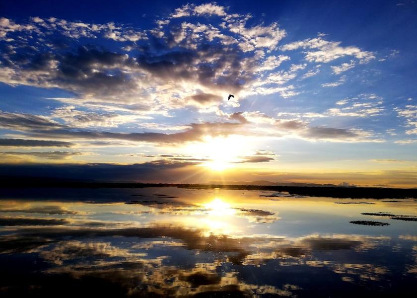 Puno (region) Puno Exterior Detail