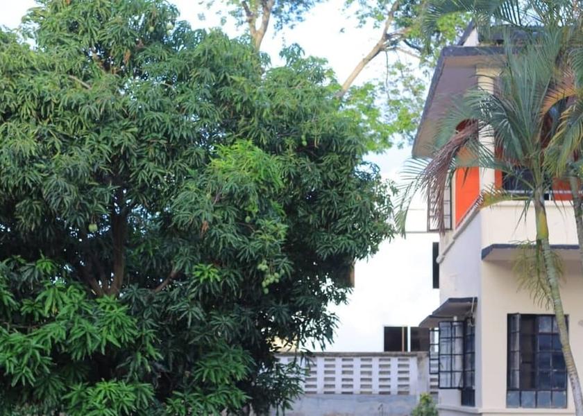 Mwanza Mwanza Exterior Detail