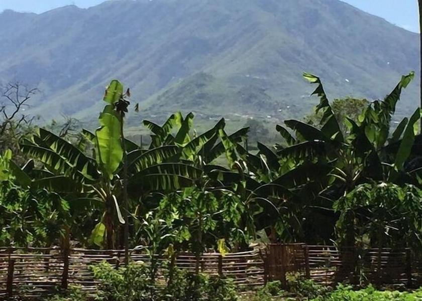 Land View from Property