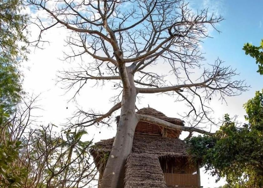  Mafia Island Balcony