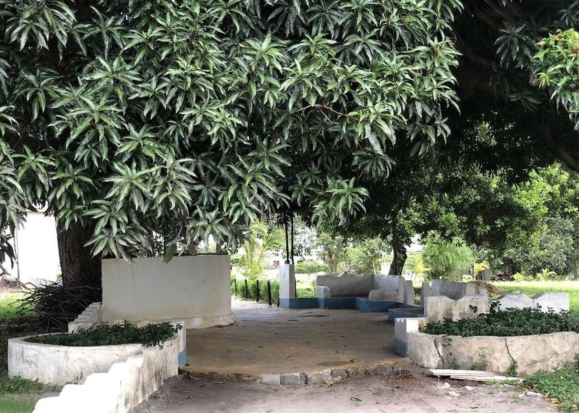  Mafia Island Entrance