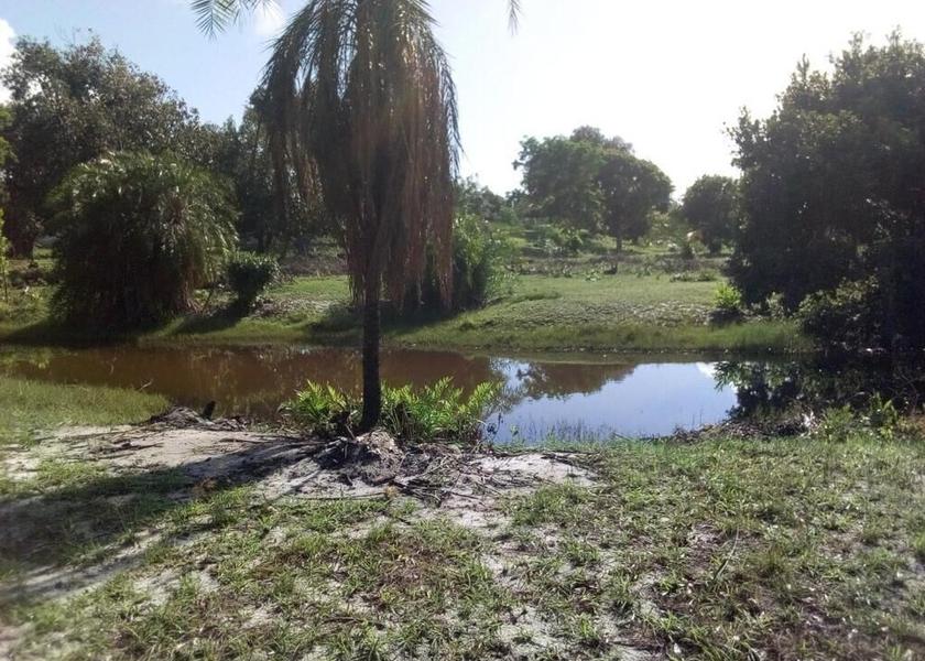  Mafia Island Exterior Detail