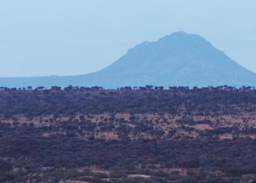  Tarangire National Park View from Property