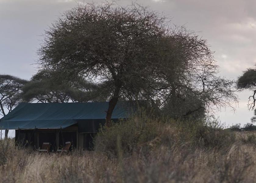  Tarangire National Park Facade