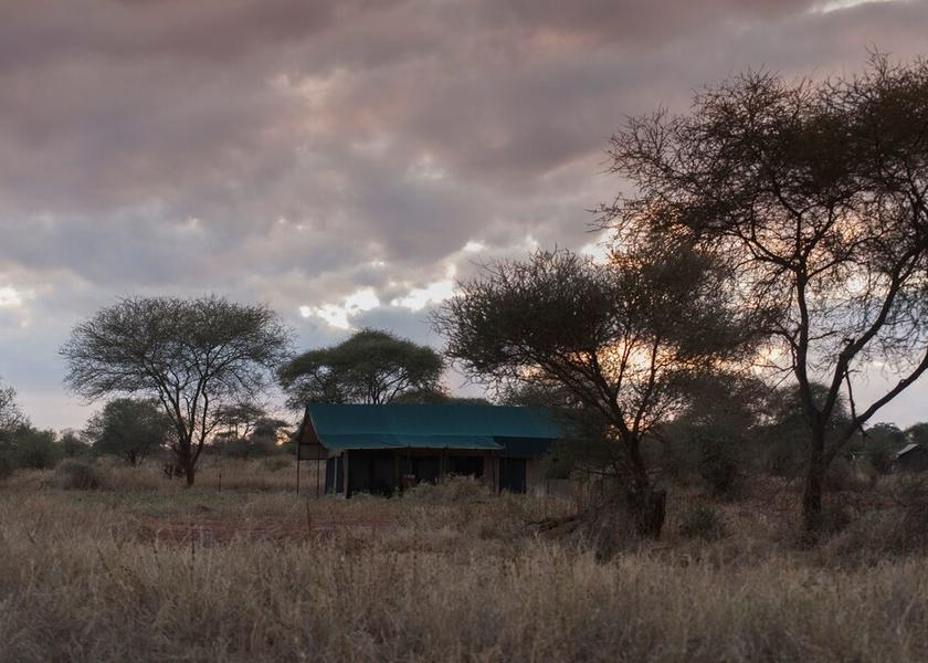  Tarangire National Park Exterior Detail