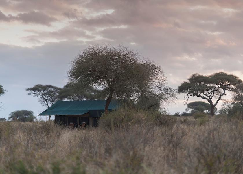  Tarangire National Park Exterior Detail