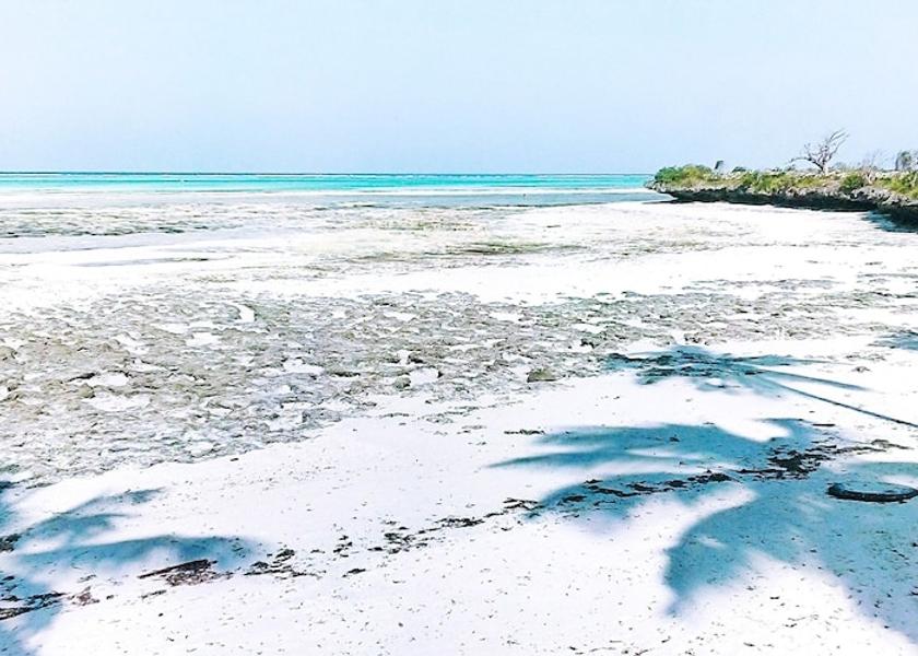 Unguja South Region Jambiani Beach