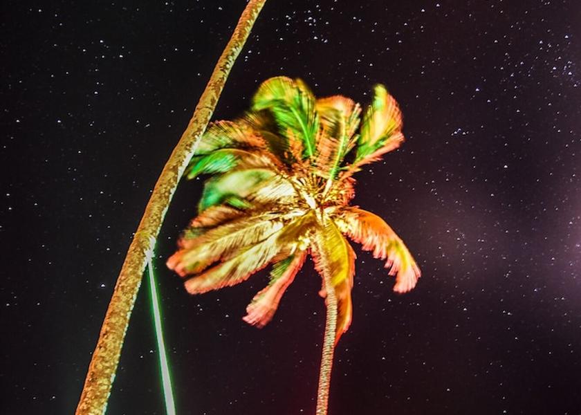 Unguja Kusini Region Jambiani Exterior Detail