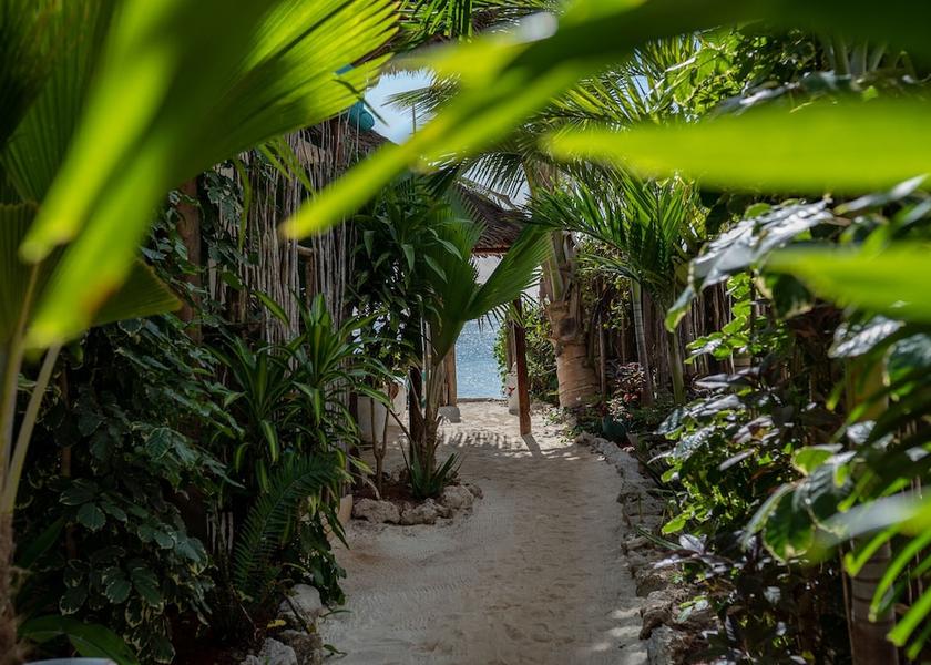 Unguja Kusini Region Jambiani Interior Entrance