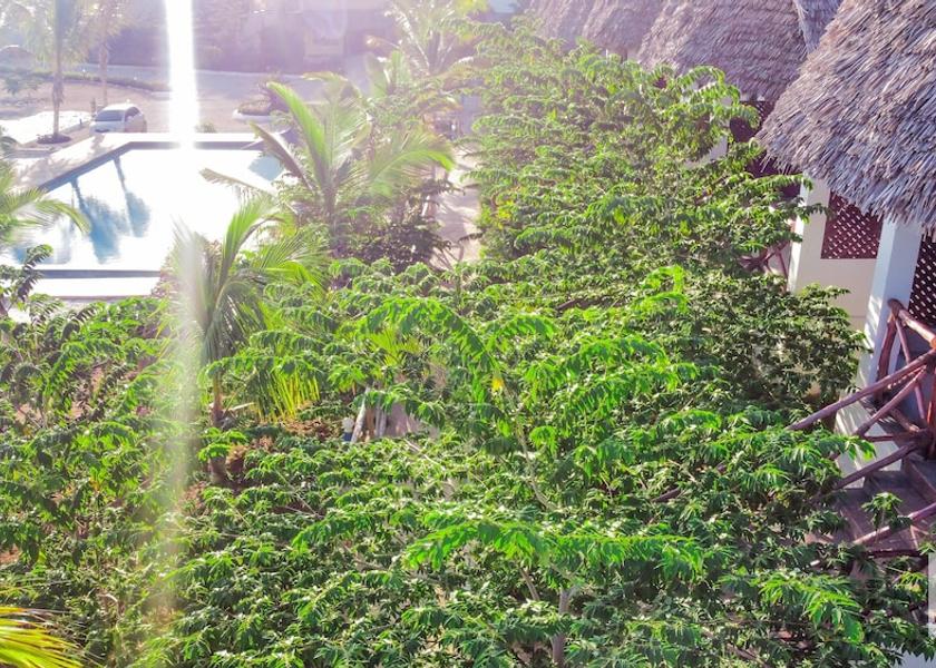 Unguja Kusini Region Jambiani Exterior Detail