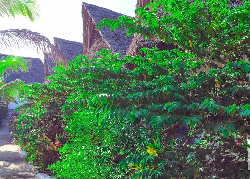 Unguja Kusini Region Jambiani Exterior Detail