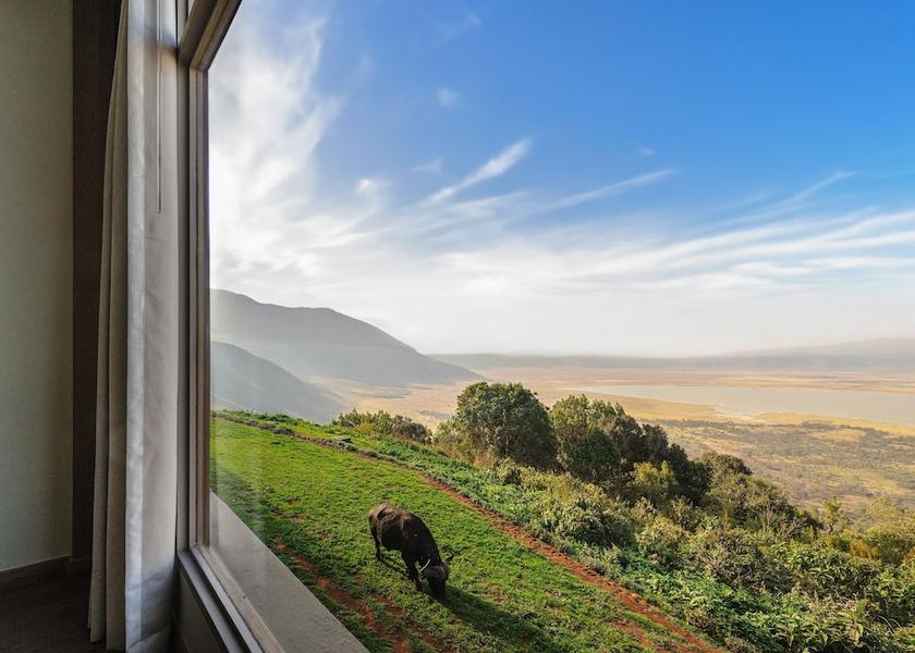 Arusha Region Ngorongoro Room
