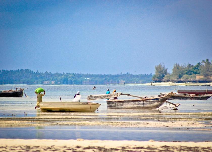 Unguja Kusini Region Uroa Beach