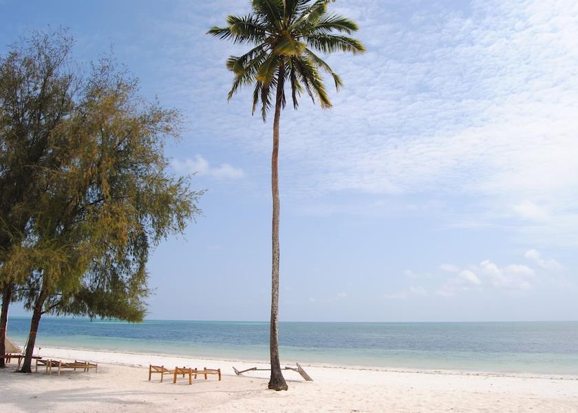 Unguja Kusini Region Uroa Beach