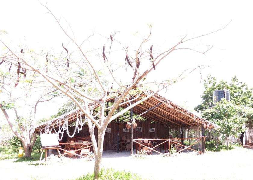 Unguja South Region Michamvi Exterior Detail