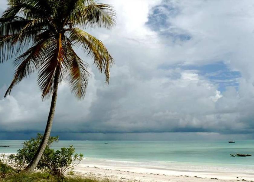 Unguja Kusini Region Michamvi Beach