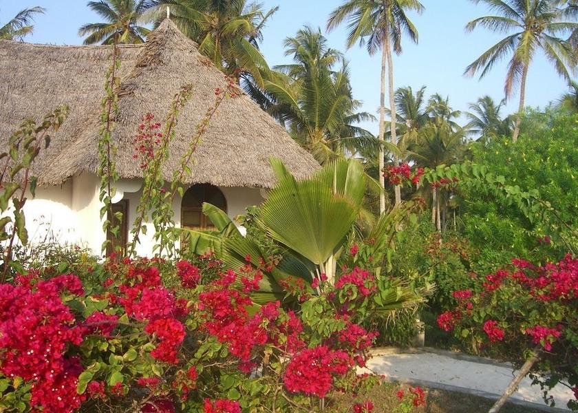 Unguja Kusini Region Kizimkazi Garden