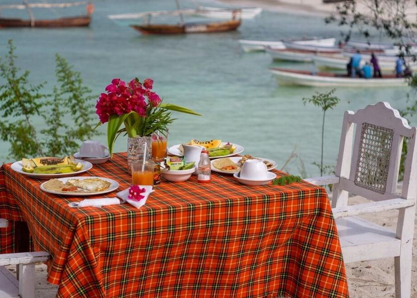 Unguja South Region Kizimkazi Garden