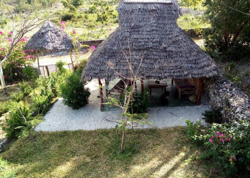 Unguja South Region Kizimkazi Terrace