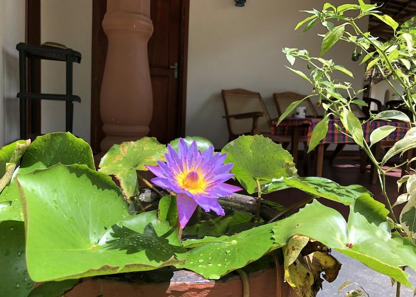 Central Province Sigiriya Facade