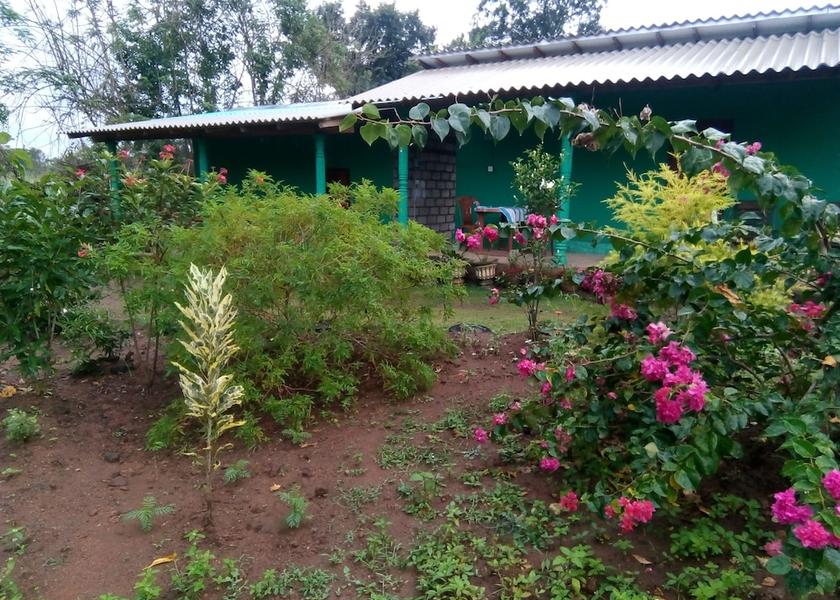 Central Province Sigiriya Garden