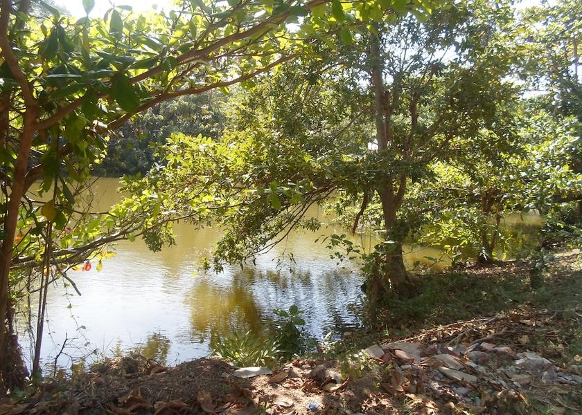 Hambantota District Tangalle Facade